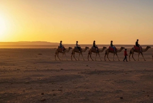 Marrakech: Quad & Camel Adventure with Dinner Show in Agafay