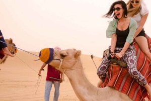 Marrakesh: Agafay-ørkenen – firhjuling og middagsshow ved solnedgang