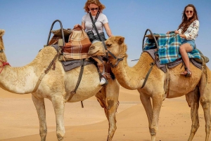 Marrakesh: Agafay-ørkenen – firhjuling og middagsshow ved solnedgang