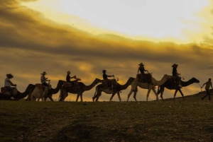 Marrakech: Quad & Camel Adventure with Dinner Show in Agafay