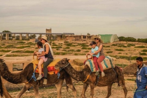 Marrakech: Quad & Camel Adventure with Dinner Show in Agafay