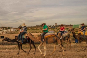 Marrakech: Quad & Camel Adventure with Dinner Show in Agafay