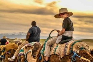 Marrakech: Quad & Camel Adventure with Dinner Show in Agafay