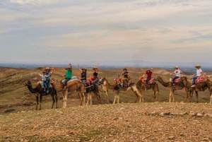 Marrakech: Quad & Camel Adventure with Dinner Show in Agafay