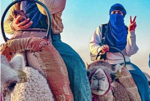 Marrakech: Quad & Camel Adventure with Dinner Show in Agafay