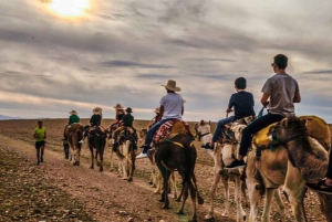 Marrakech: Quad & Camel Adventure with Dinner Show in Agafay