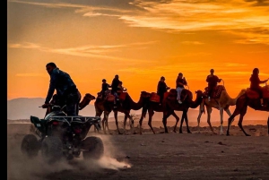 Marrakech: Quad & Camel Adventure with Dinner Show in Agafay