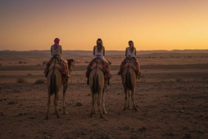 マラケシュ：アガファイ砂漠で四輪バギー＆夕暮れどきのラクダ乗り、ディナーショー
