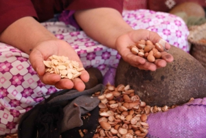 Marrakech: Desert Agafay Quad, Camel Ride & Fire Show Dinner