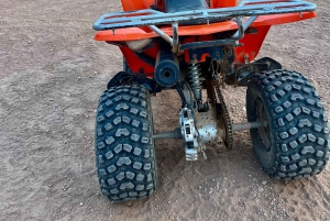 Marrakech: Desert Agafay Quad, Camel Ride & Fire Show Dinner