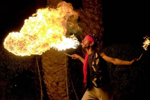 Marrakech: Desert Agafay Quad, Camel Ride & Fire Show Dinner