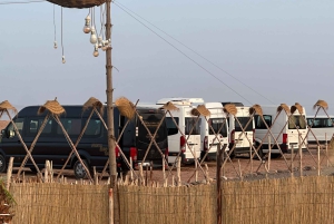 マラケシュ：アガファイ砂漠で四輪バギー＆夕暮れどきのラクダ乗り、ディナーショー