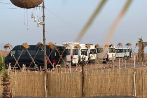 マラケシュ：アガファイ砂漠で四輪バギー＆夕暮れどきのラクダ乗り、ディナーショー