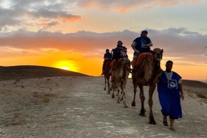 マラケシュ：アガファイ砂漠のサンセット＆ラクダ乗り、ディナーショーをお楽しみください