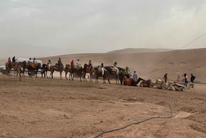 Marrakesh: kamelenrit, diner en vuurshow in de Agafay-woestijn