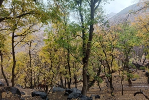 Марракеш: поездка на целый день в сад Анима и Атласские горы