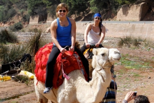 Marrakech: Atlas Mountains and Desert Jeep Safari with Lunch