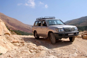 Marrakech: Atlas Mountains and Desert Jeep Safari with Lunch