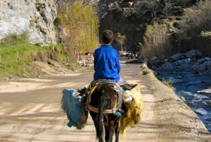 Marrakech: Atlas Mountains and Desert Jeep Safari with Lunch