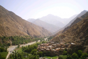 Marrakech: Atlas Mountains and Desert Jeep Safari with Lunch