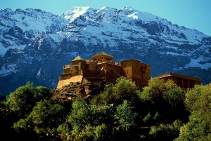 Marrakech: Atlas Mountains and Desert Jeep Safari with Lunch