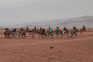 Marrakesh: kamelenrit, diner en vuurshow in de Agafay-woestijn