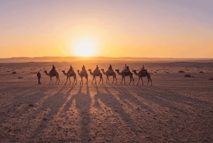 Marraquexe: passeio de camelo, jantar e espetáculo de fogo em Agafay