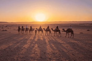 Marraquexe: passeio de camelo, jantar e espetáculo de fogo em Agafay