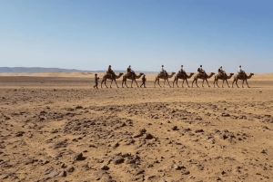 Marraquexe: passeio de camelo, jantar e espetáculo de fogo em Agafay