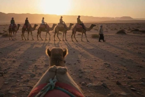 Marraquexe: passeio de camelo, jantar e espetáculo de fogo em Agafay