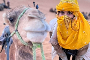 Marraquexe: passeio de camelo, jantar e espetáculo de fogo em Agafay