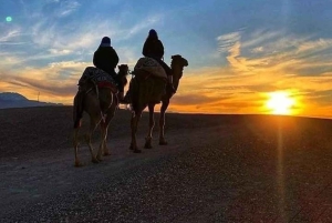 Marraquexe: passeio de camelo, jantar e espetáculo de fogo em Agafay