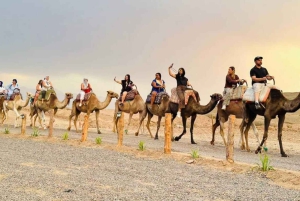 Marraquexe: passeio de camelo, jantar e espetáculo de fogo em Agafay