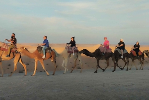 Marrakech : balade à dos de chameau dans le désert de Rehamna avec thé marocain
