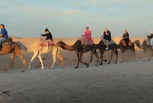 Marrakech : balade à dos de chameau dans le désert de Rehamna avec thé marocain