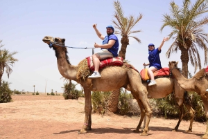 Marrakech : balade à dos de chameau dans le désert de Rehamna avec thé marocain