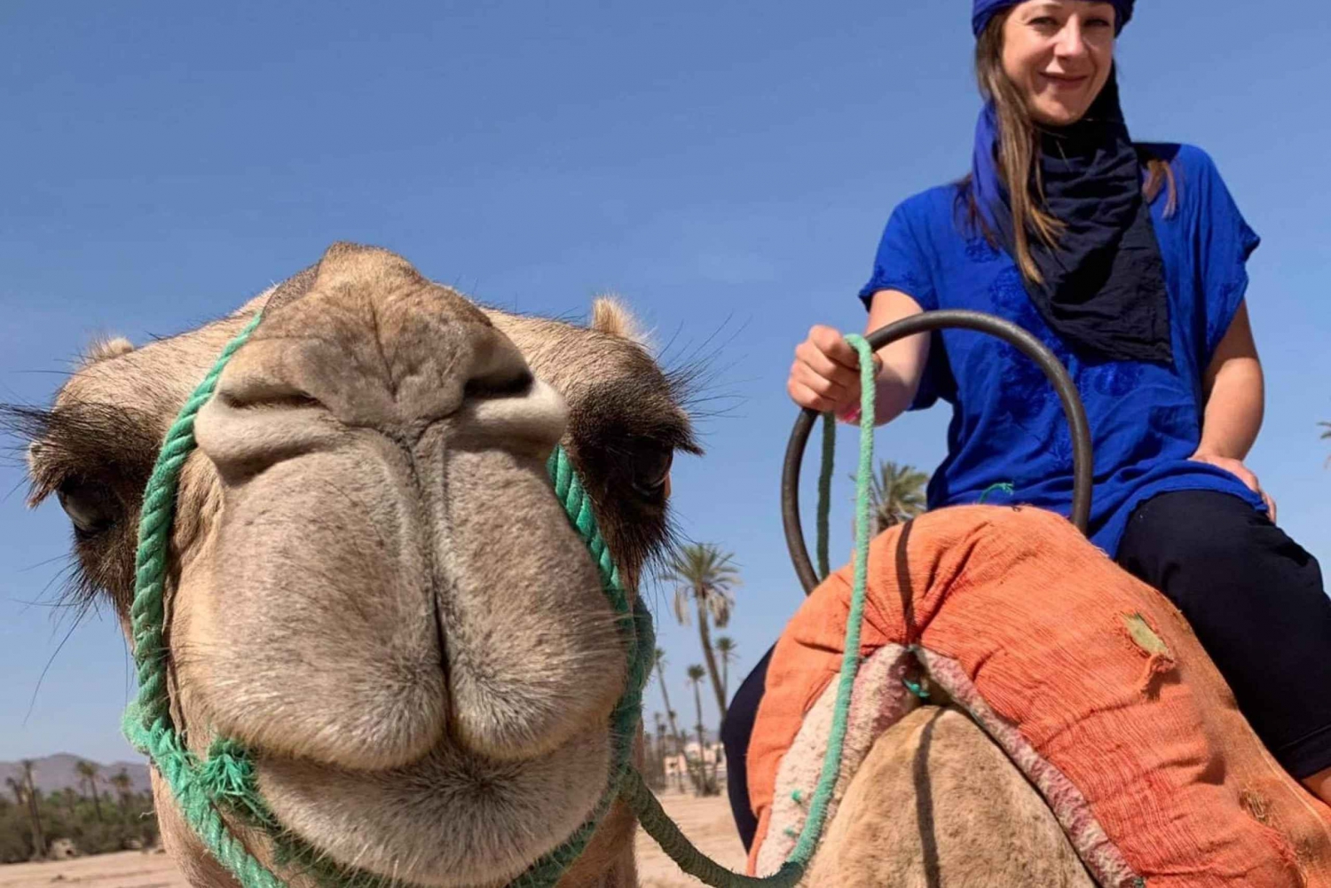 Marrakesch Kamelritt im Palmenhain