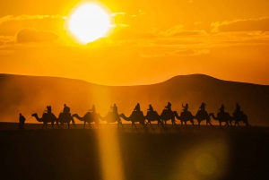 Marrakech: Kamelenrit in Agafay, dinershow en toegang tot het zwembad