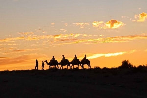 Marrakech: Kamelenrit in Agafay, dinershow en toegang tot het zwembad