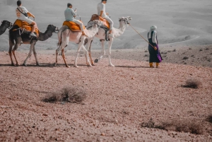 Marrakech: Kamelenrit in Agafay, dinershow en toegang tot het zwembad