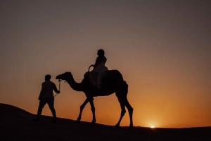 Marrakesch: Tagestour ins Ourika-Tal mit Mittagessen und geführter Wanderung