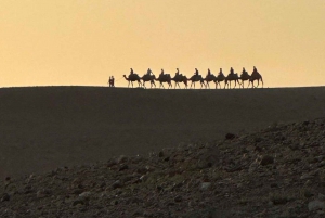 Marrakesch: Tagestour ins Ourika-Tal mit Mittagessen und geführter Wanderung