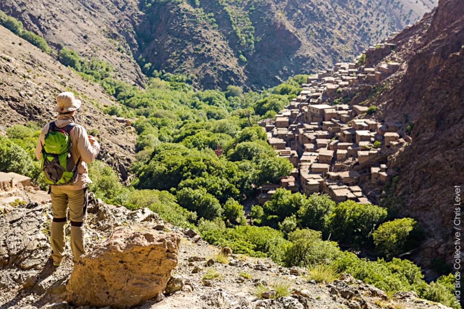 Марракеш: Дневной поход на вершину Атласских гор 2700 м