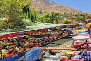 Marrakech : Dagstur med guide og lunsj til Ourika-dalen