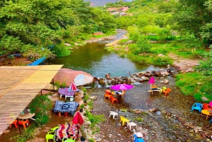 Marrakech : Dagstur med guide og lunsj til Ourika-dalen