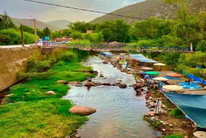 Marrakech : Dagstur med guide og lunsj til Ourika-dalen