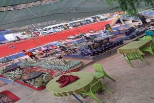 Marrakech : Dagstur med guide og lunsj til Ourika-dalen