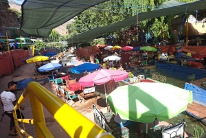 Marrakech : Dagstur med guide og lunsj til Ourika-dalen