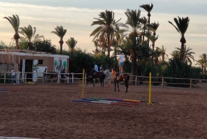 Marrakech: Wüsten- und Palmeraie-Reittour & Transfer
