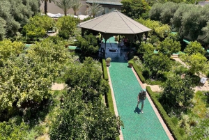 Marrakech: Ben Youssef, salainen puutarha ja medina -opastettu kierros